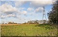 Field and pylon east of Bury Lane