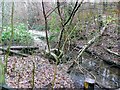 The Adders Gill in Dalzell Estate