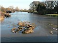 Spetisbury: the Stour downstream from Crawford Bridge