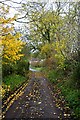 Narrow Lane, Belchford