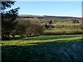 View across Cwm Crai towards Glasfynydd Forest