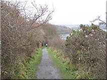 NT1380 : Fife Coastal Path by Richard Webb