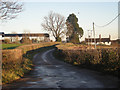 Lane to Lilyhurst Farm