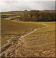 Watercourse near Parkfield