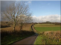 SX7667 : Lane near Parkfield by Derek Harper