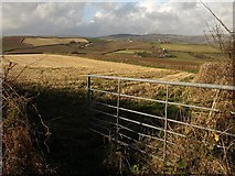 SX7667 : Field near Hooper Hayes Copse by Derek Harper