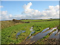 Flooded ruts in a field north of St Mary