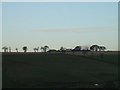 Arbikie Hill farm from Inverkeilor