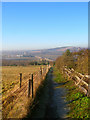 Footpath to Steyning Road