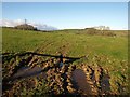 Field near Barkingdon Manor