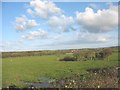 Fields bordering on the Holyhead-London railway line