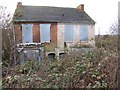 Houses disappearing into the undergrowth