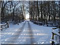 Norsey Woods Entrance in the snow!