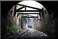 Deepdale disused railway cutting