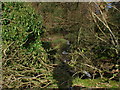 Looking up the course of rivulet near Stick Bridge