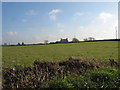 View across farmlands towards Ty Croes farmhouse