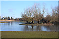 Barton Mere