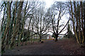 Kearsney Abbey footpath looking towards Chilton Way