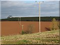 Electricity supply lines cross the Devon fields in the Otter valley