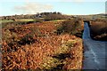 The Road Across Knowle Down