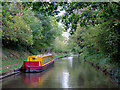 Staffordshire and Worcestershire Canal at Cross Green, Staffordshire