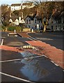 Puddles, Torquay coach station