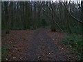 Footpath Junction in Bredhurst Hurst