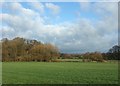 Farmland at Seighford