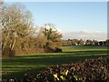 Field beside the Templer Way