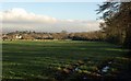 Field near Challabrook Farm