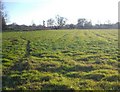 Ridge and Furrow near Colwall Church