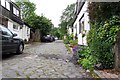 The Alley at Cleveden Gardens