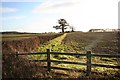 View from Owday Lane