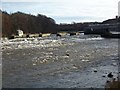 River Bann near Coleraine