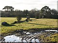 Disused Leat in a Field