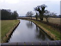 View from Canal Bridge