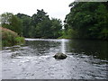 River Eden near Crackenthorpe