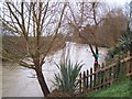 River Witham at Claypole