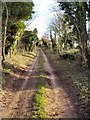 Barton Stacey - The Path To Sutton Scotney