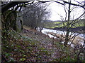 River Irwell at Townsendfold