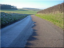 TL5954 : Road to Wadlow Farm by Hugh Venables