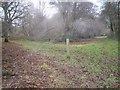 Footpath junction in Smokes Wood