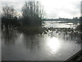 Canford Magna, floodplain