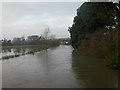 Little Canford, River Stour