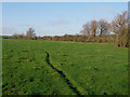 Footpath along River Stour