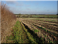 Stubble field