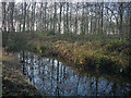 TL6656 : Pond in Ditton Park Wood by Hugh Venables