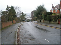 TQ0049 : Looking back down Pewley Hill from Poyle Road by Basher Eyre