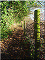 Footpath, Chartridge