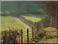 Footpath near Chesham